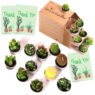 Succulent Cactus Candles