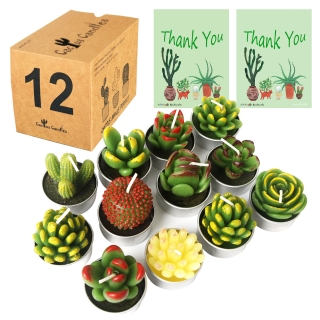 AIXIANG 12Pcs Cactus Can