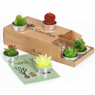 6 Styles Succulent Candl