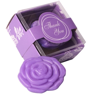 AI·X·IANG 24 Pack Hand