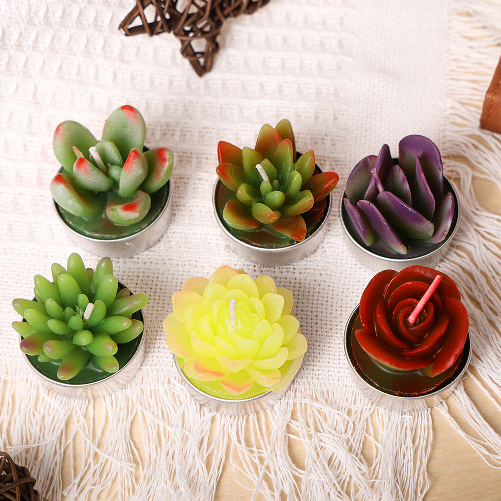 plant fertilizer indoor FEED ME! Time Release Houseplant Food (18-6-8)